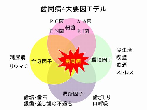 歯周病４大要因モデル500