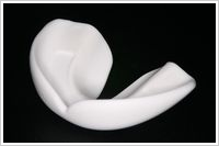 パナシールドプラス